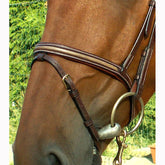 Dy'on D Collection Snake Style Flash Bridle